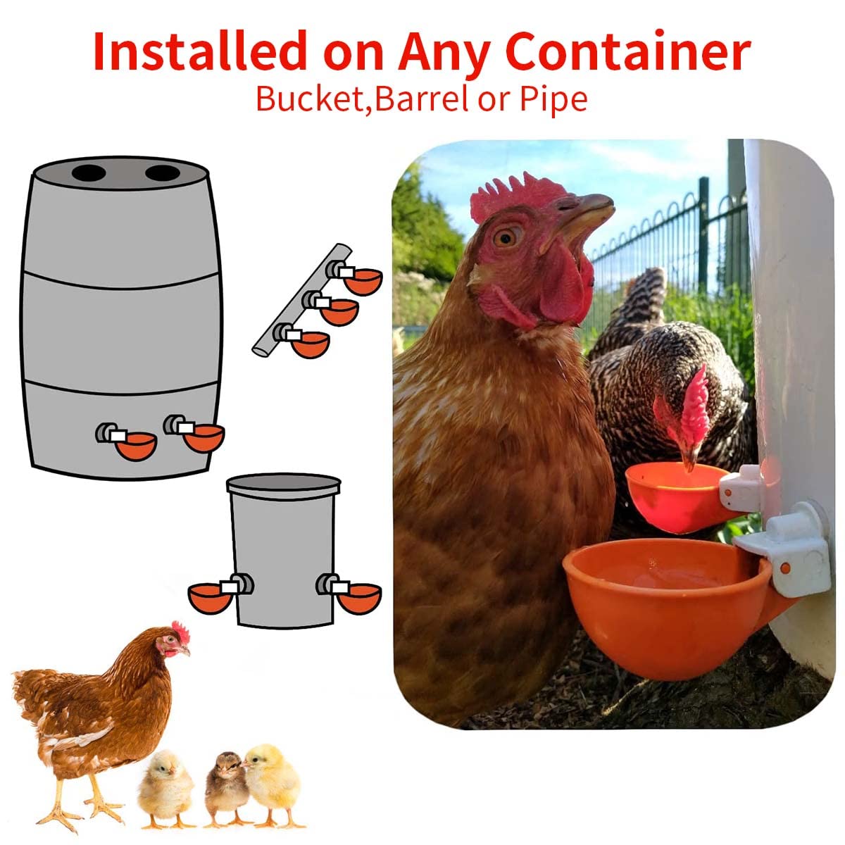 HASTHIP Pack of 5 Chicken Drinking Cup On Barrel Chicken Feeder and Drinker Auto Refill Water Chicken Duck Drinker Chicken Water Cup for Poultry Poultry Farm Equipment