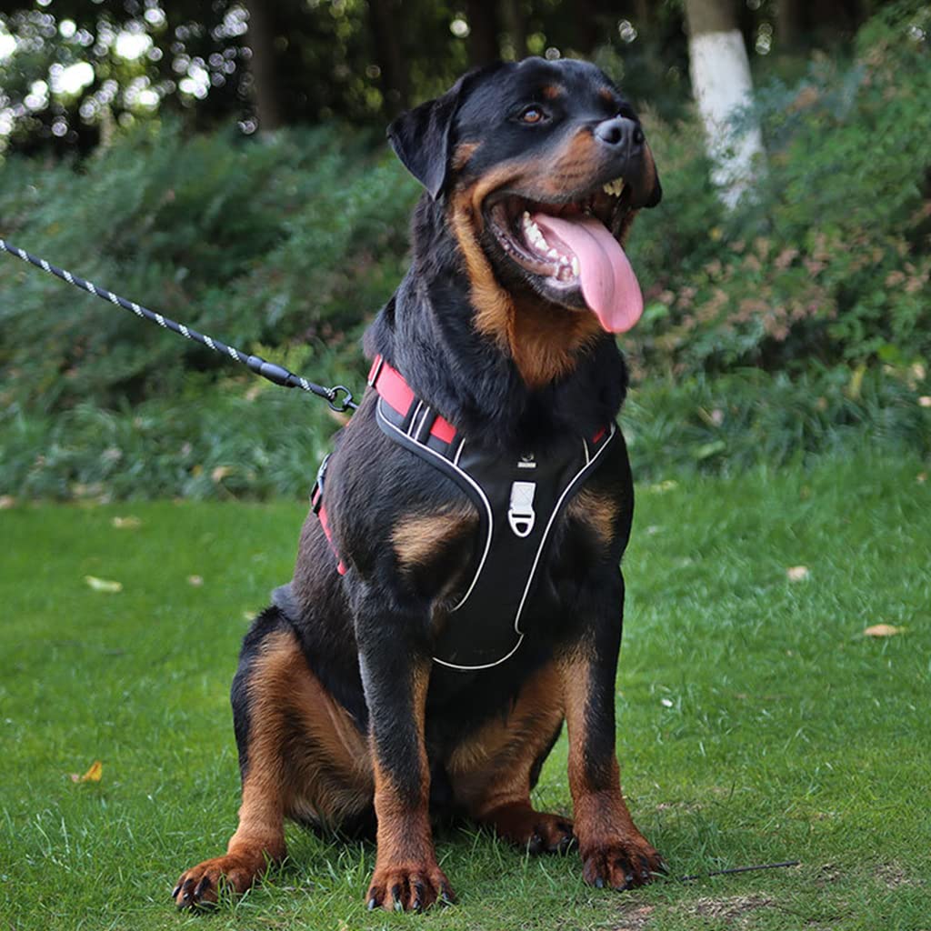Qpets Dog Harness for Large Dogs 22.5–45kg with Control Handle and Reflective Strips | Red Oxford Vest