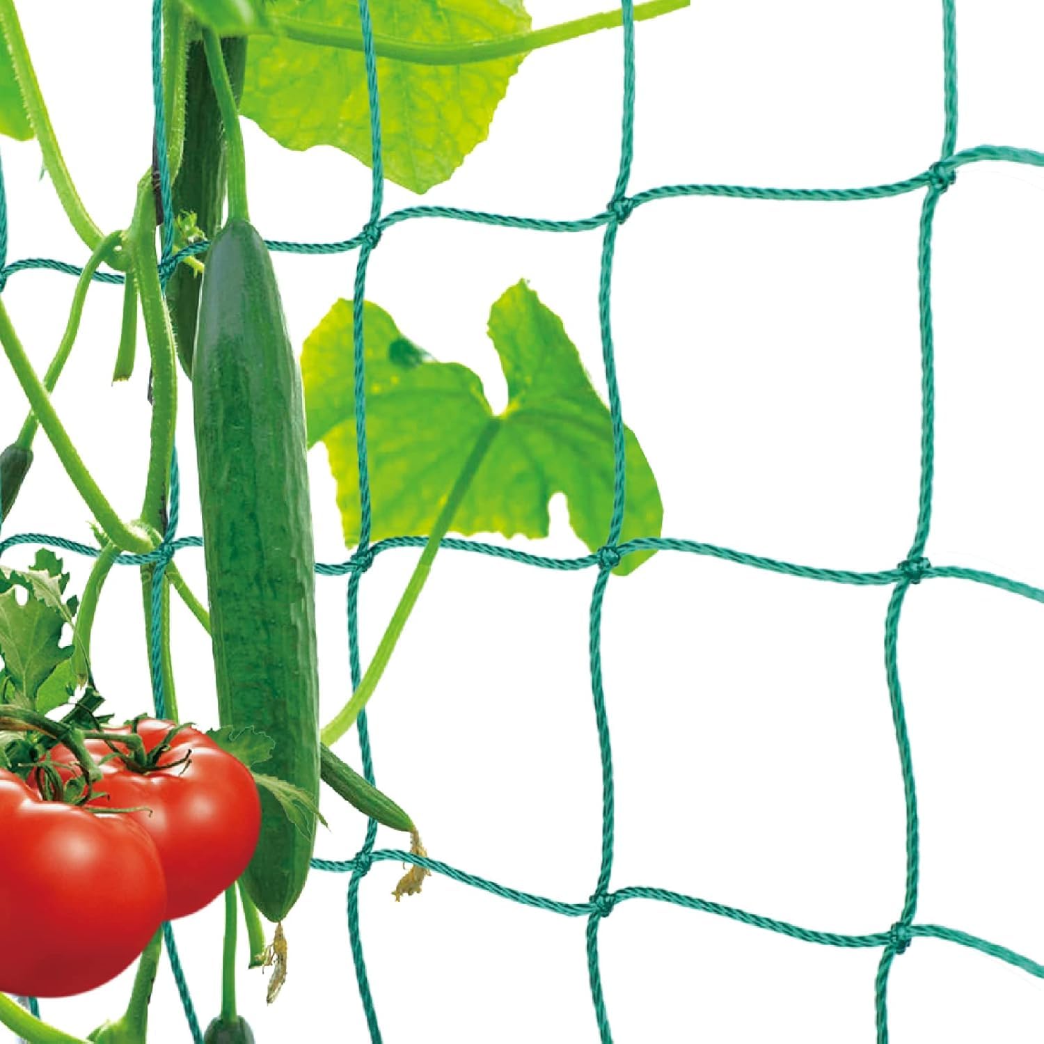HASTHIP Trellis Netting for Climbing Plants with 18 Nylon Strands and 4x4 in Grid | 2 Pcs Set