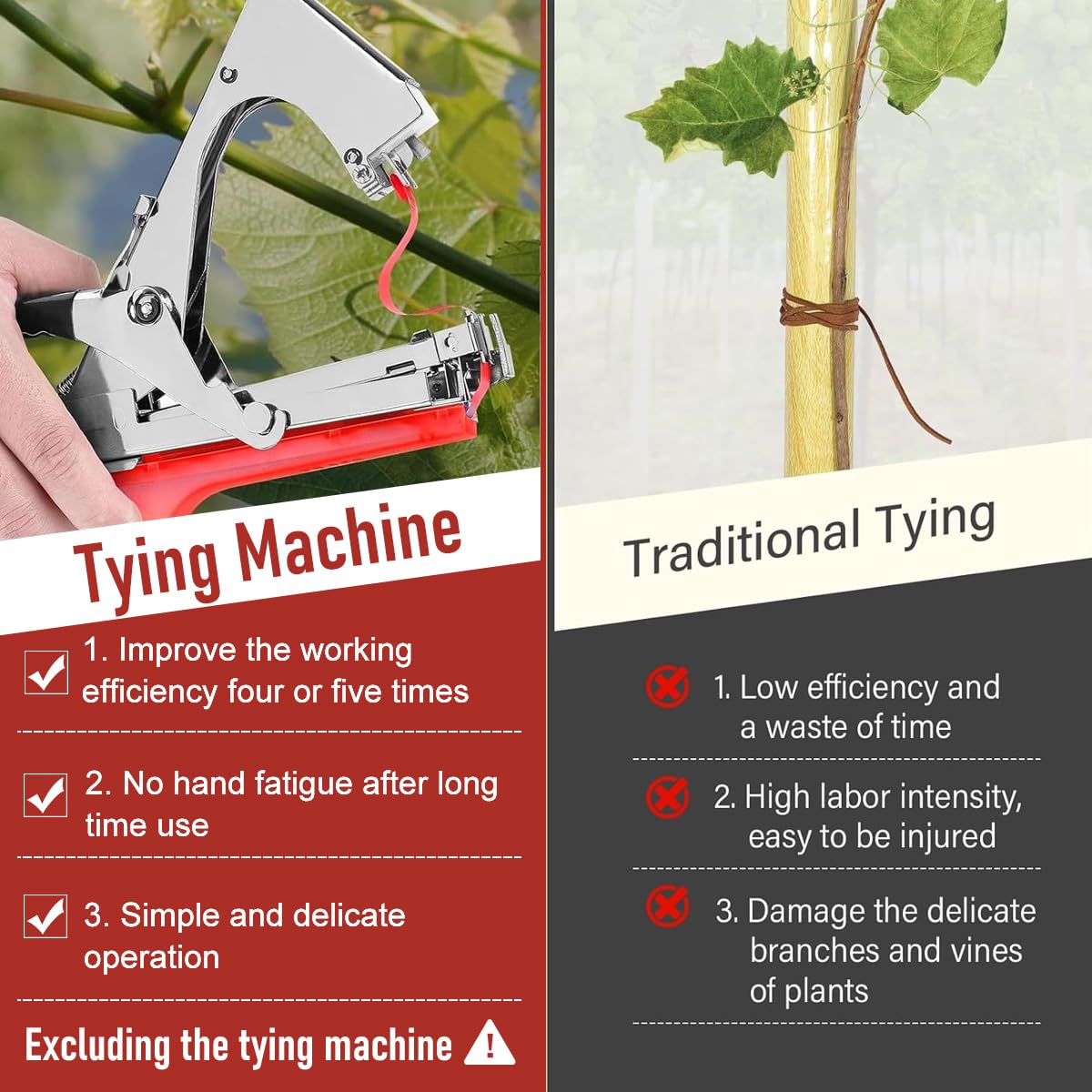 HASTHIP Plant Tying Tape for Garden and Greenhouse Use with 6 Rolls 98 ft Each | PE UV‑Resistant Material