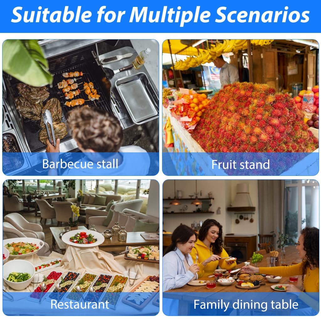 HASTHIP USB Fly Repellent Fan for Indoor and Outdoor Use with 9.8 ft Cable | Stepless Speed Adjustment and Spiral Blade Design