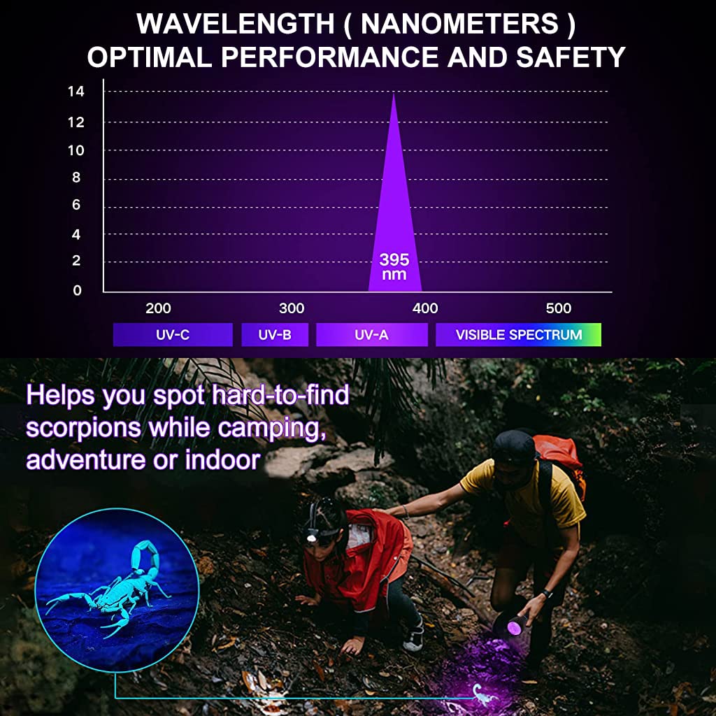 Qpets UV Flashlight for Pet Urine Detection with 100 LED Beads and Aluminum Alloy Body | Portable Blacklight Torch