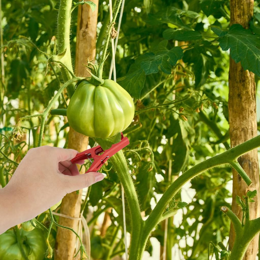 HASTHIP Plant Clips for Stems and Climbing Plants 20Pcs 3.5 in featuring Snap-On Design | Reusable Garden Vine Support