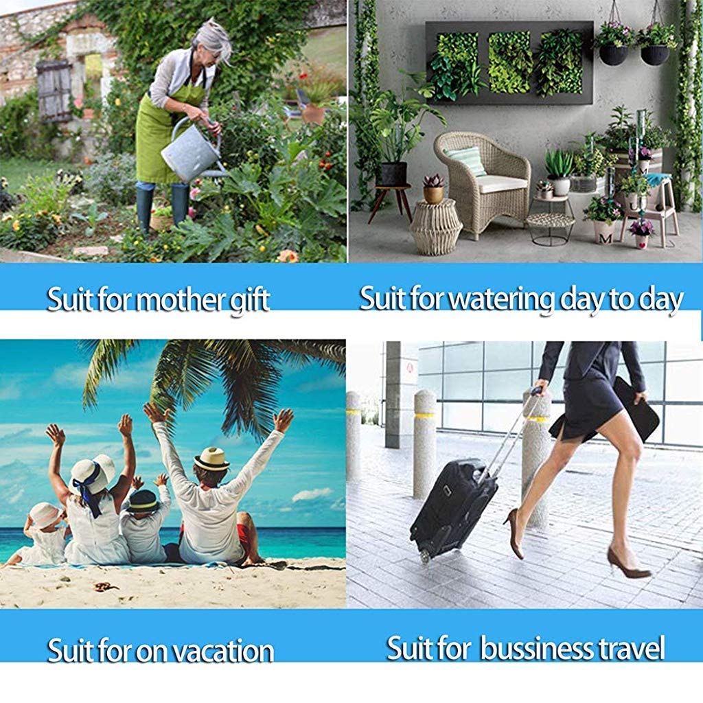 HASTHIP Drip Irrigation Kit for Home Garden with Adjustable Valve | 12 Pcs ABS Plant Watering Spikes