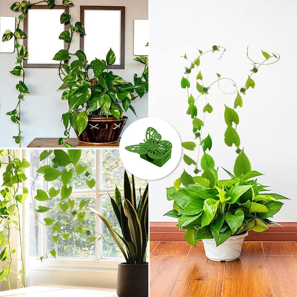 HASTHIP Plant Clips for Climbers with Snap-On Butterfly Design 20Pcs Reusable Support | Green Garden Use