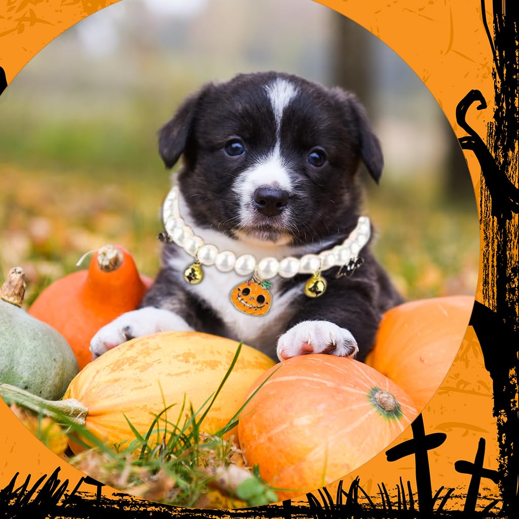 Qpets Halloween Cat Collar Necklace with Pearl Beads and Bells for Small Pets 22cm | Pumpkin Charm Design