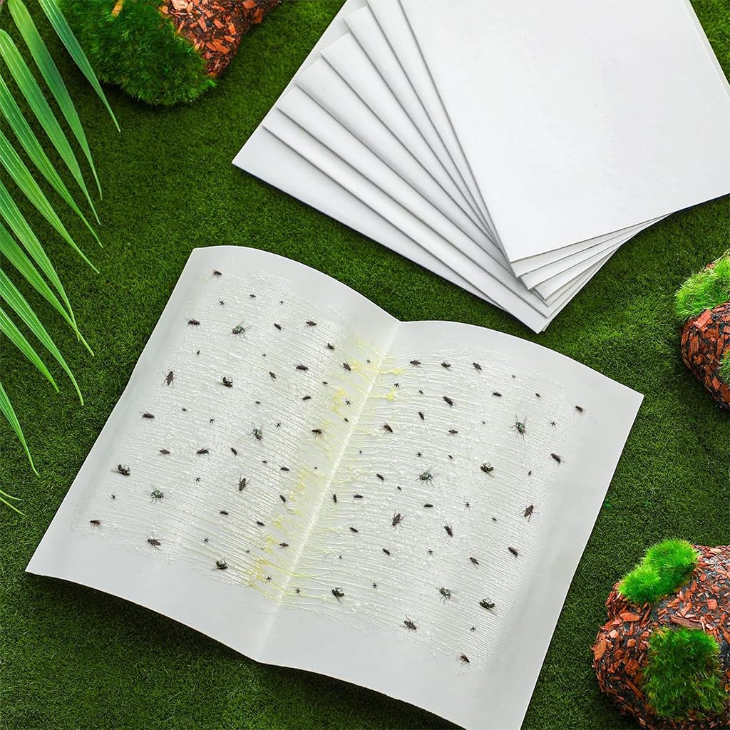 HASTHIP Adhesive Fly Trap for Kitchen and Garage with Large Surface Non-Toxic 10 Count | Odorless Insect Catcher