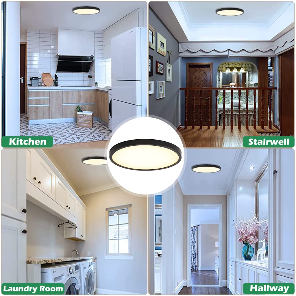 HASTHIP LED Ceiling Light for Living Room with 24W 120pcs Source and 0.83in Ultra Thin Design | Warm 3000K Black Fixture