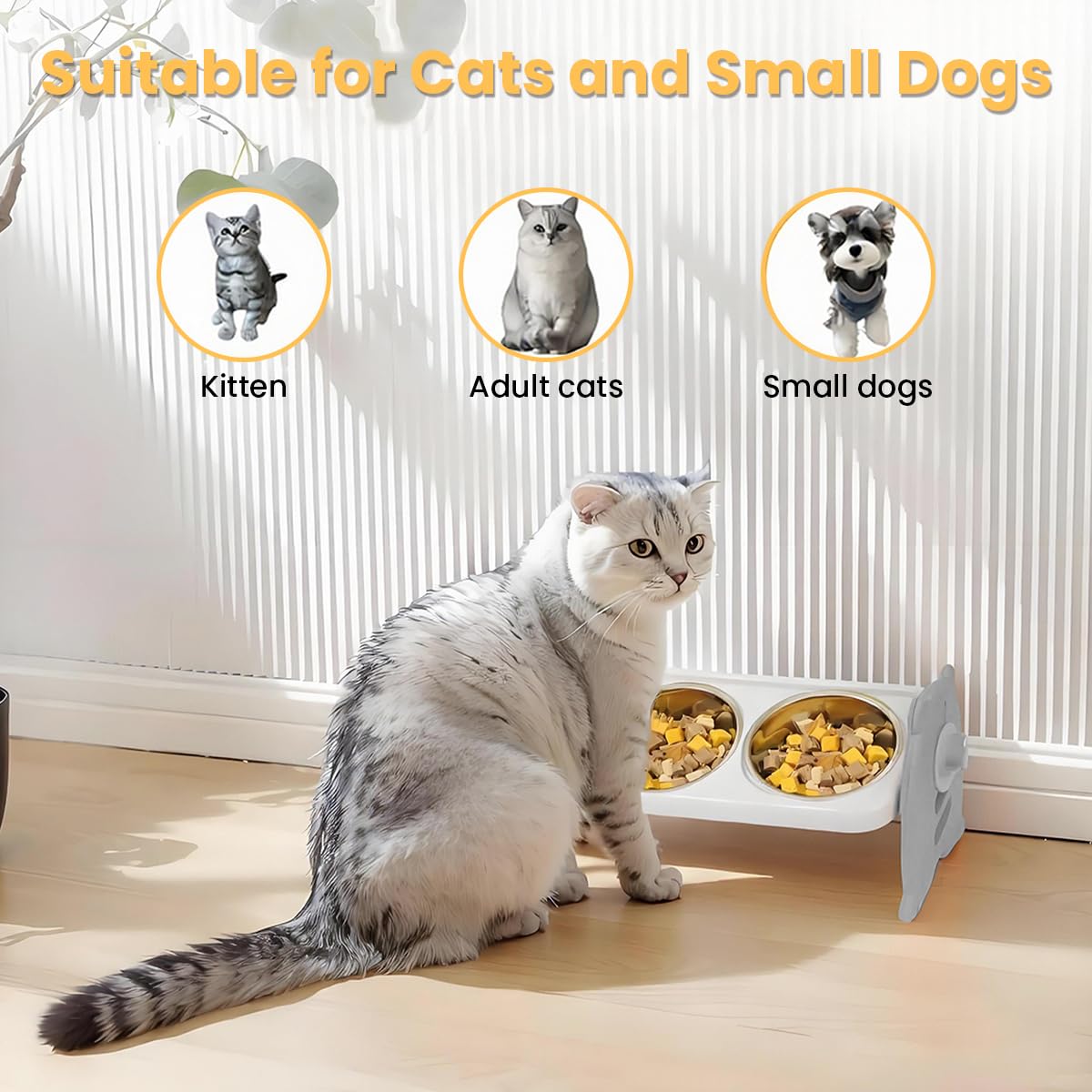 Qpets Dog Food Bowl for Dogs and Cats with Adjustable Height and Detachable Stainless Steel Design