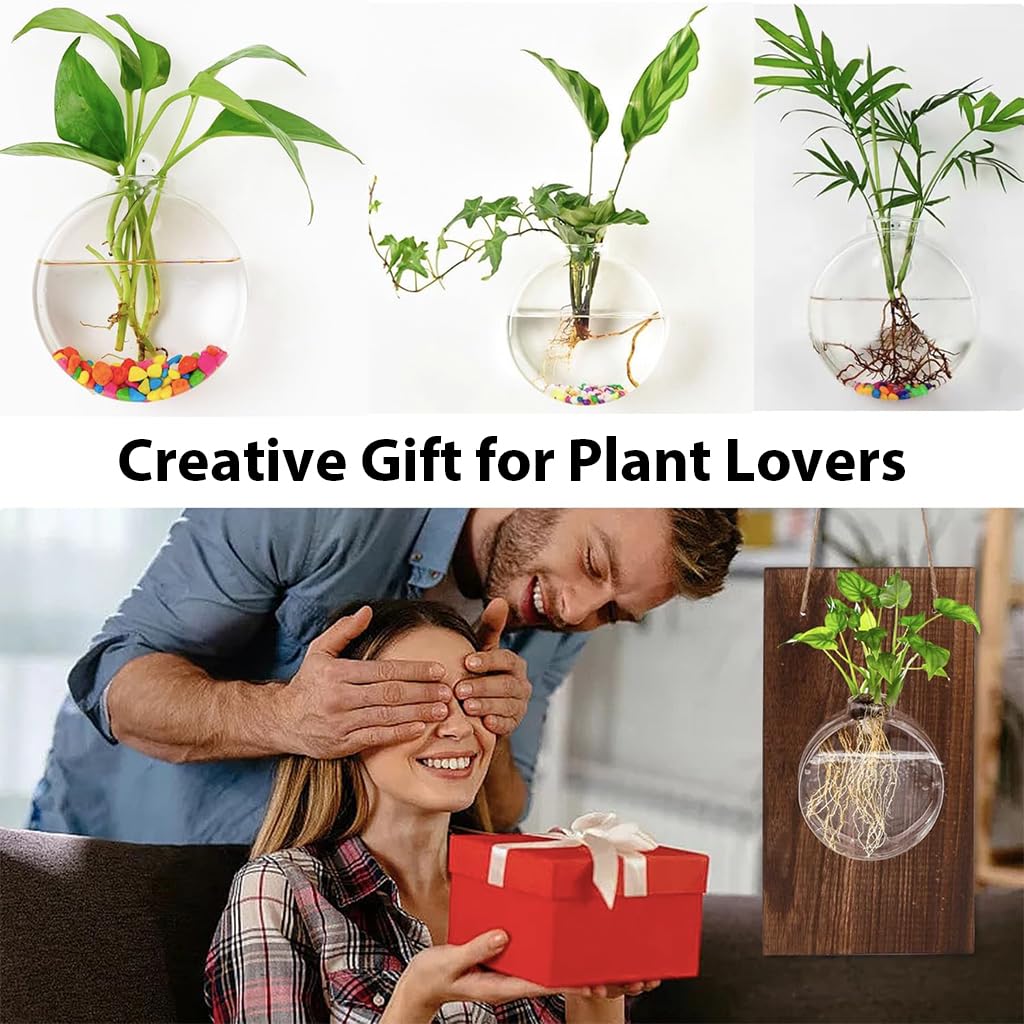HASTHIP Glass Hydroponic Kit for Home Decor with Wooden Board and Hemp Rope | 18x33cm Wall Hanging Planter
