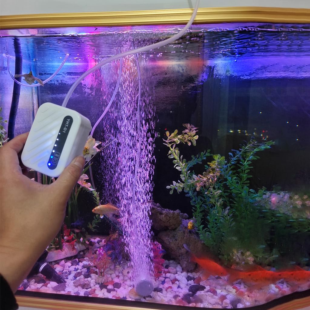 Qpets Small Oxygen Generator for Aquarium and Outdoor Fishing with 45h Battery | Adjustable Flow and Intermittent Mode