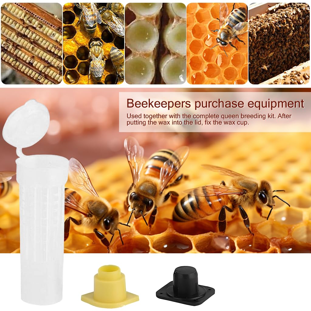 HASTHIP Queen Bee Cages 20PCS for Hive Introduction with Snap-On Lids and Candy Plug 2.6cm x 7.8cm