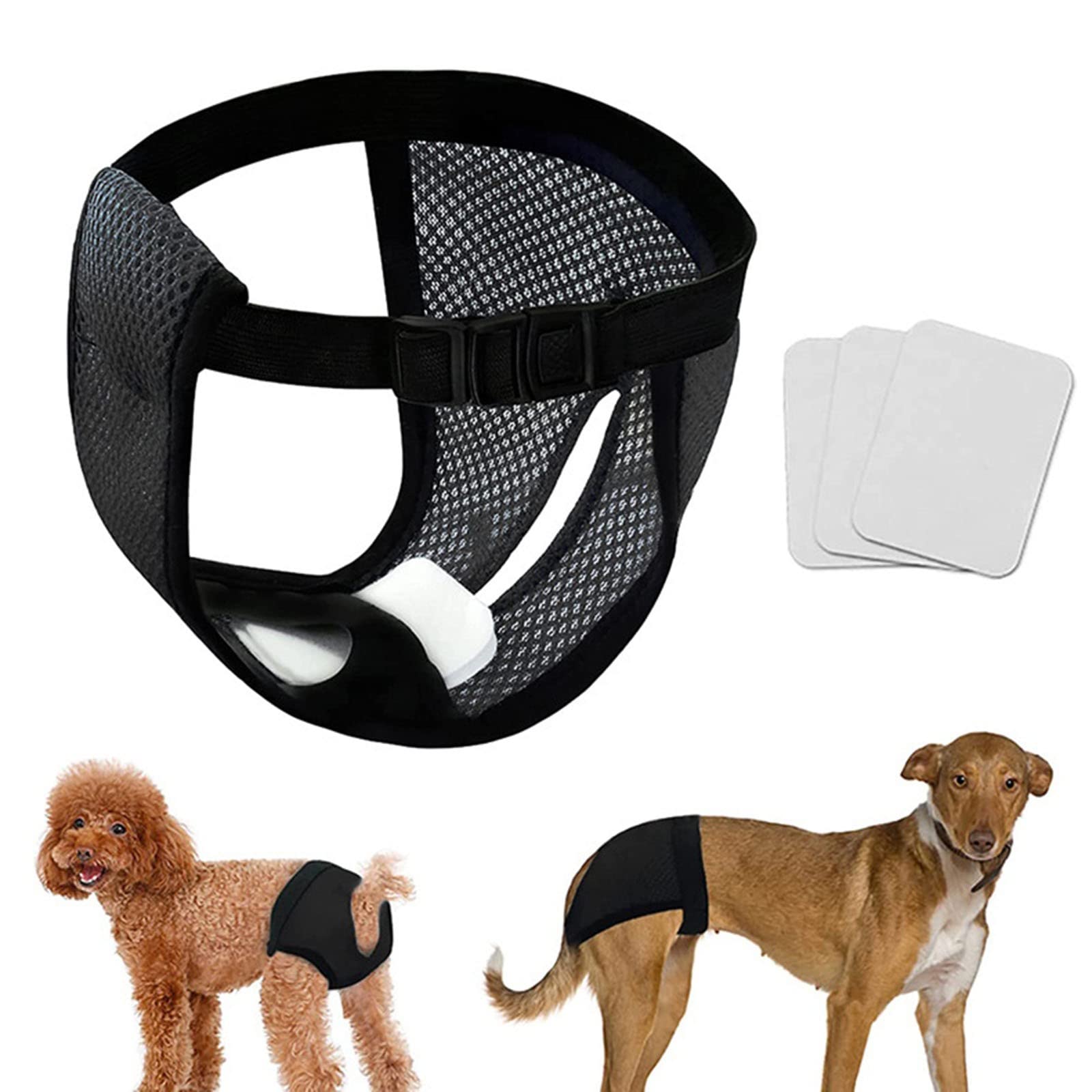 Qpets Dog Diapers for Female with 3 Cotton Pads featuring Removable Absorption Design | Breathable Mesh for Waist 15.7–19.2 in