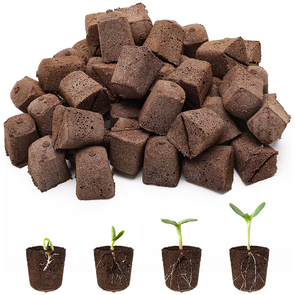 HASTHIP Seedling Sponge Blocks 50 pcs for Hydroponic Gardening featuring Porous Structure & Strong Root Aeration