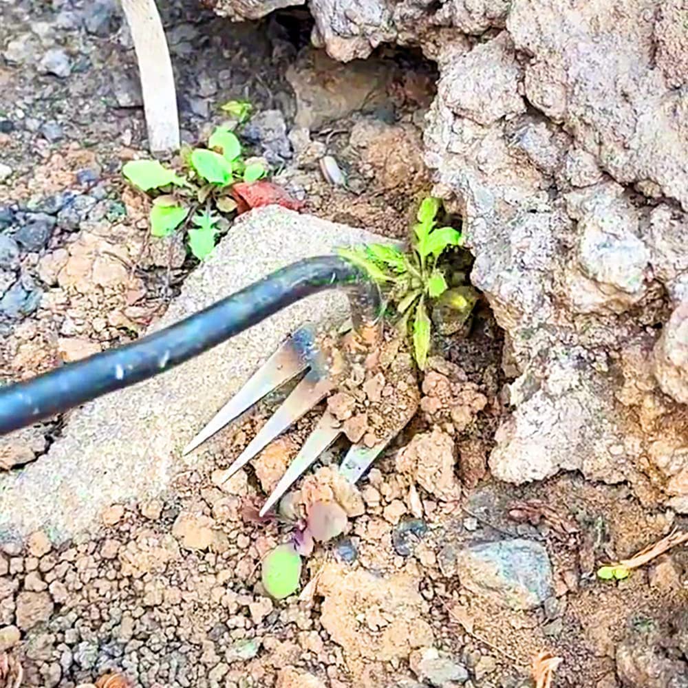 HASTHIP Weeder Hand Tool for Lawn and Garden with 4 Claws Steel Design 35 cm | Manual Weed Puller 3 pcs
