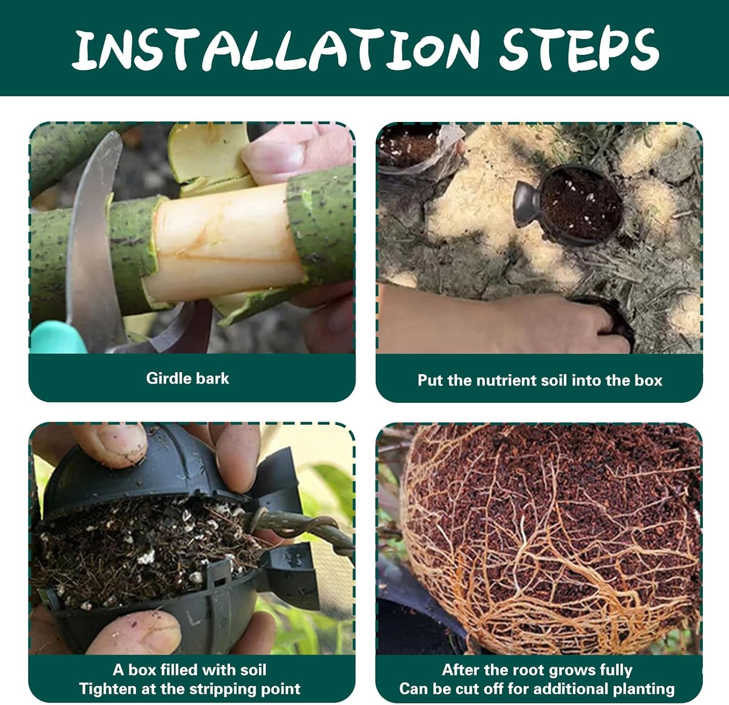 HASTHIP Plant Rooting Ball Set for Air Layering Propagation featuring 6 Reusable Pods