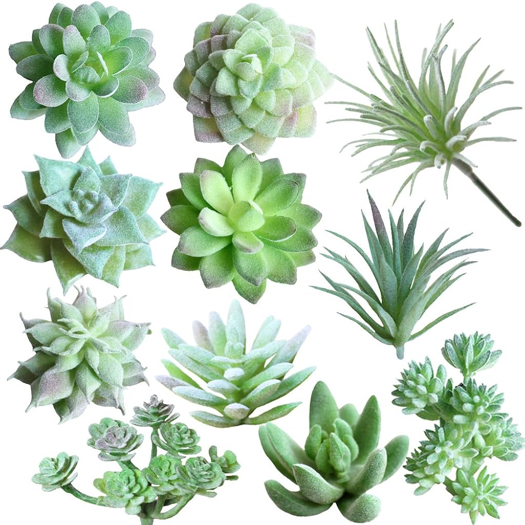 HASTHIP® 11Pcs Artificial Succulent Plants, Faux Succulent in Flocked Green in Different Type Different Size, Mini Artificial Plants Desk Decor, Computer Desktop Decoration