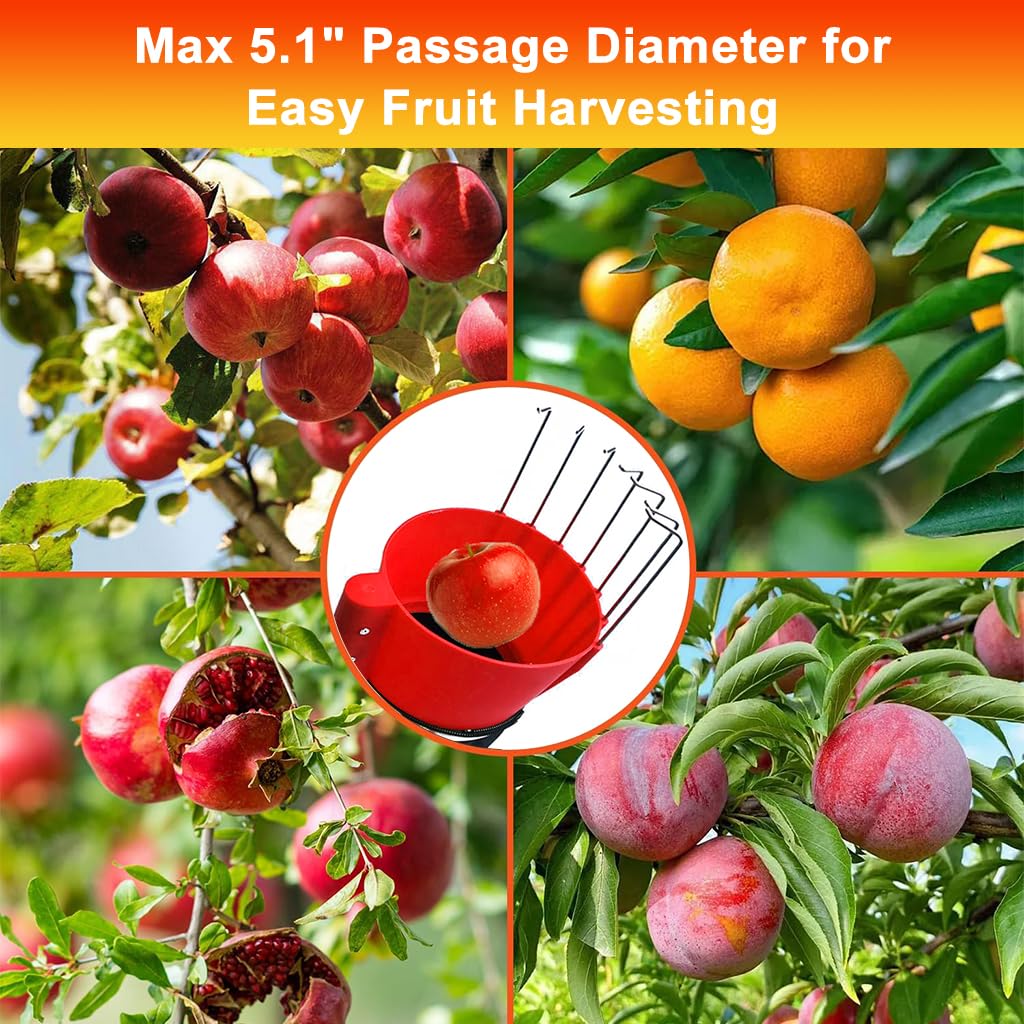 HASTHIP Fruit Picker Pole for Tree Harvesting with 13 ft Telescoping Design and Wearable Basket