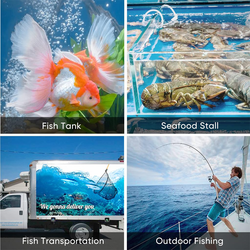 Qpets Aquarium Air Pump for Fish Tanks featuring USB Rechargeable 2600mAh Battery | Ultra Quiet 2.5L/min Oxygen Generator