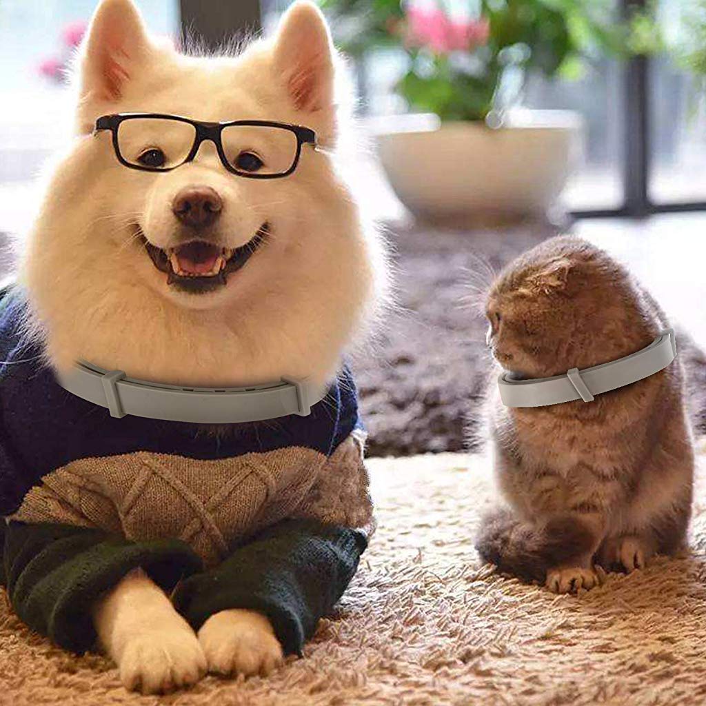 Qpets Flea and Tick Collar for Dogs and Cats with 8 Month Protection | Adjustable Waterproof Grey Design