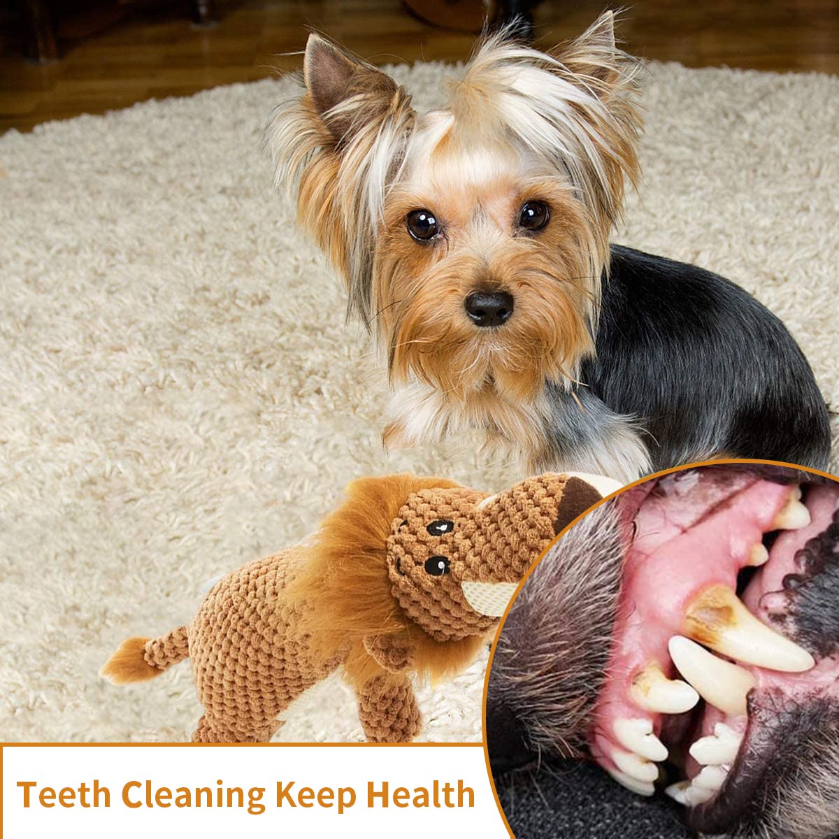 Qpets Dog Toys for Small and Medium Dogs featuring Squeaky Plush Lion 15 Inch | Teeth Cleaning Chew Toy
