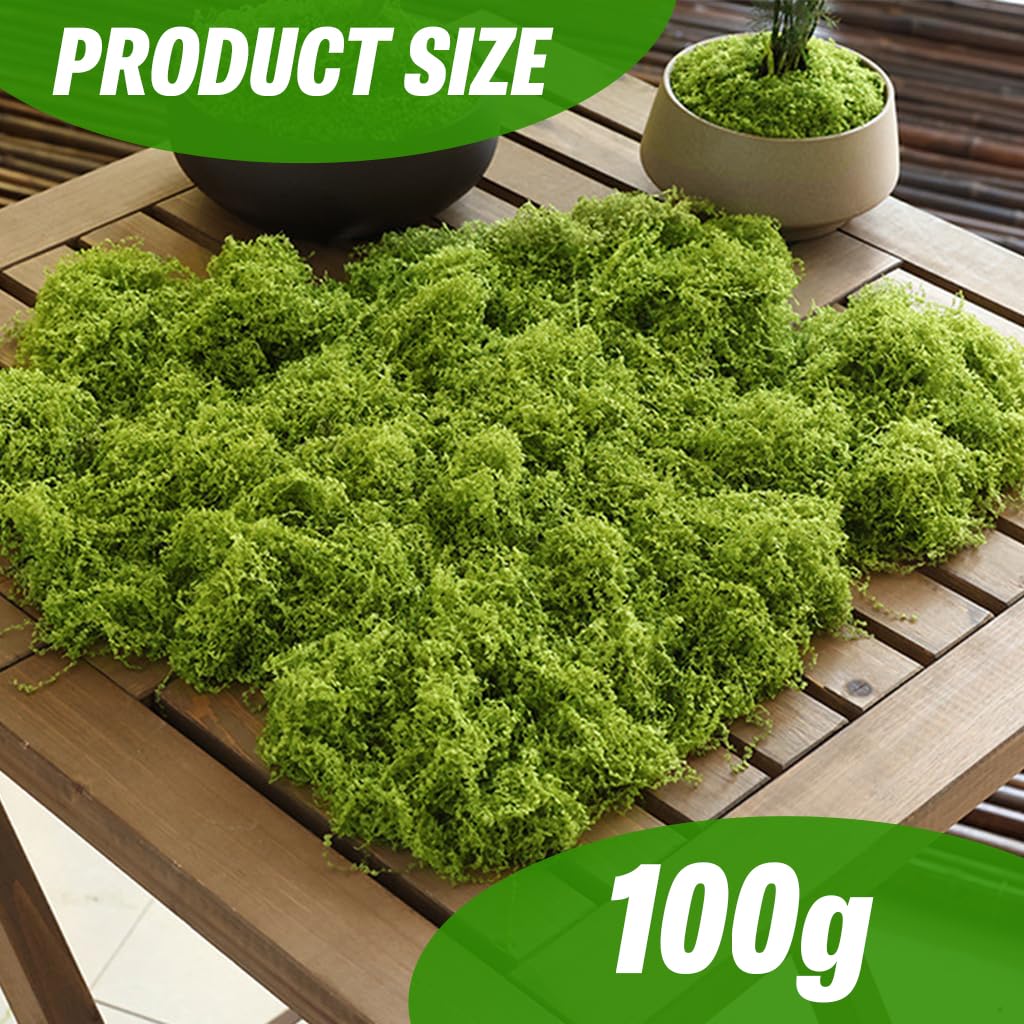 HASTHIP Artificial Moss for Planter Decoration and DIY Crafts featuring 100g Fresh Green Texture | Ideal for Terrariums and Fairy Gardens