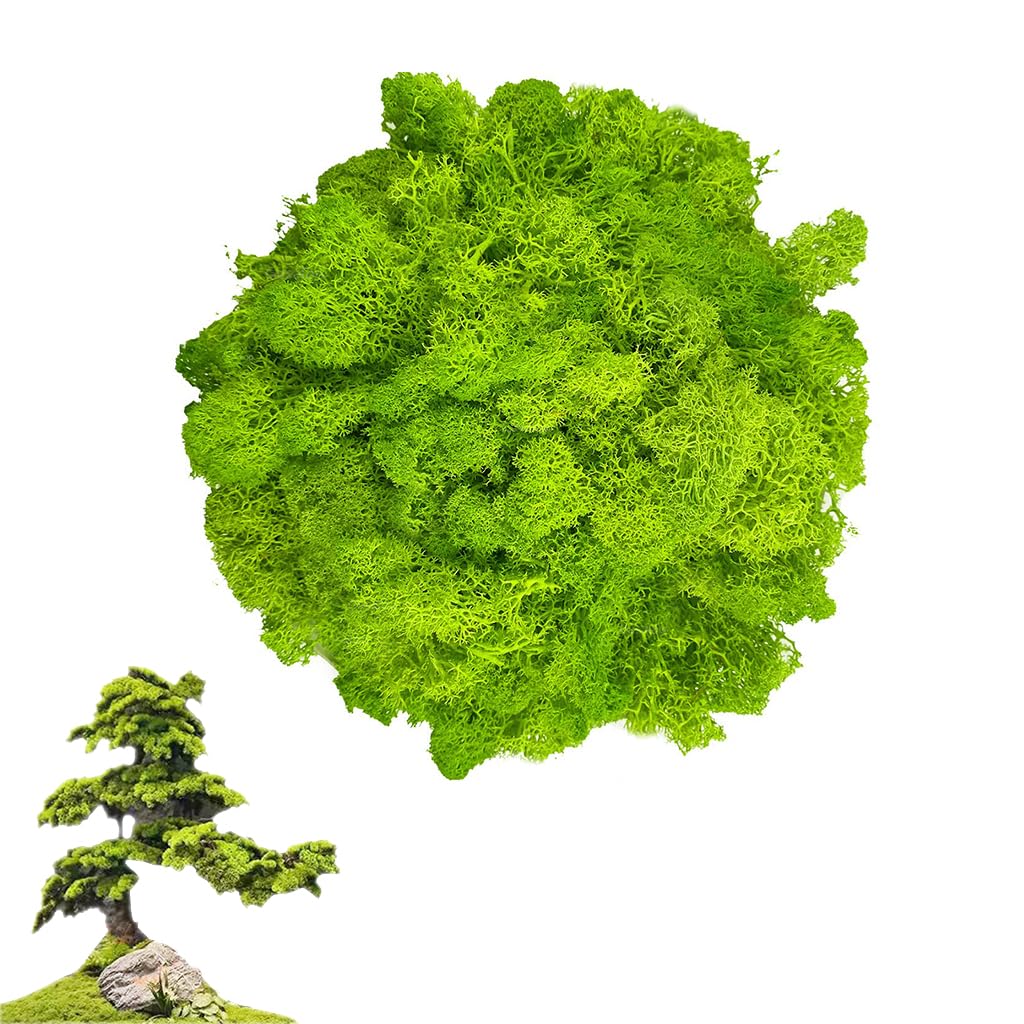 HASTHIP Artificial Moss for Planter Decoration and DIY Crafts featuring 100g Fresh Green Texture | Ideal for Terrariums and Fairy Gardens