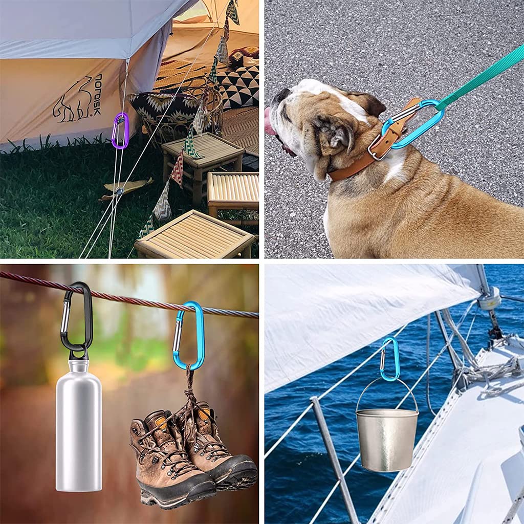 PROBEROS Carabiner Clips for Camping and Hiking featuring Spring Lock 5pcs 3.1 in Aluminum Alloy | Ideal for Travel and Everyday Gear Attachment