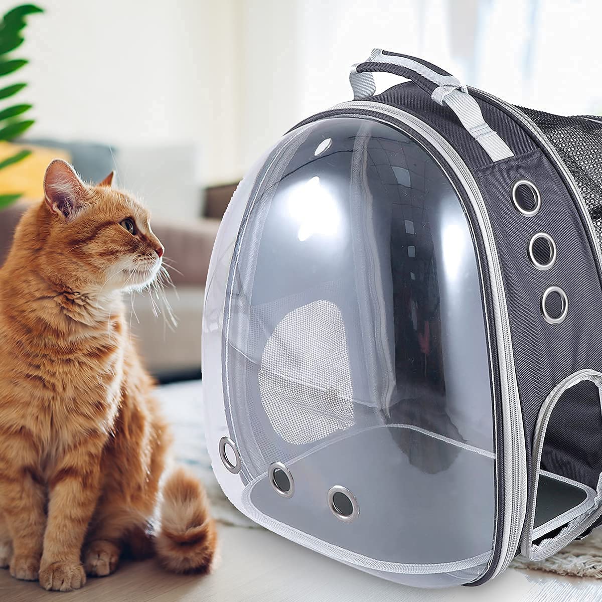 Qpets Side Door Design Cat Carrier Backpack, Expandable Cat Dog Backpack Carrier Bag, Transparent Capsule Air Breathable Transparent Carrier Backpack for Travelling, Ourdoor