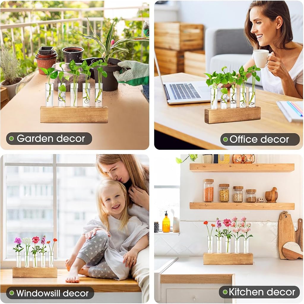 HASTHIP Glass Hydroponic Planters for Indoor Decor with Wooden Stand & 6 Tubes | Ideal Gift