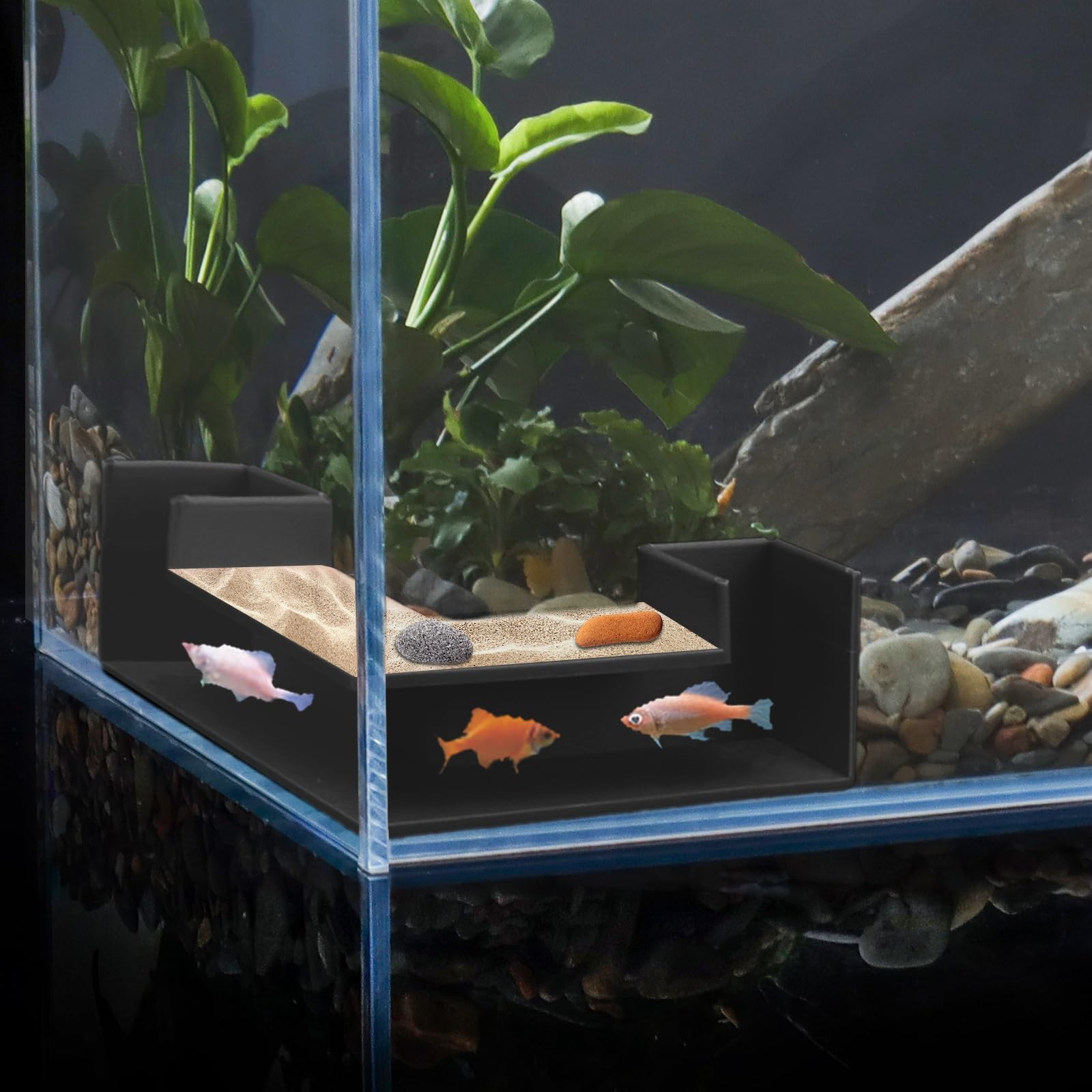 Qpets® Shrimp Cave Aquarium Decor