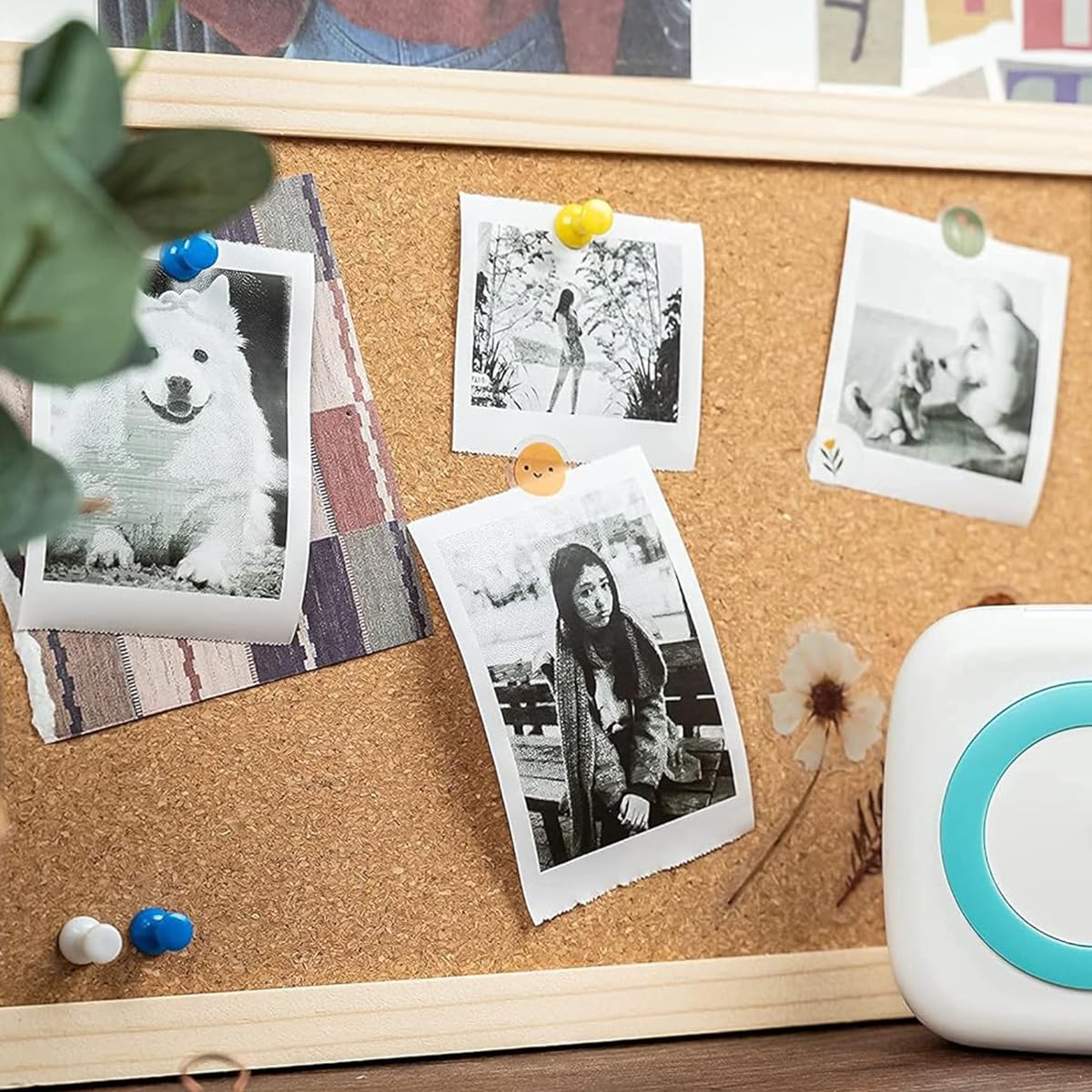 Zeitel Label Sticker Print Paper for Mini Bluetooth Thermal Printers 57x25mm White | 5 Rolls Ink Free Eco Friendly