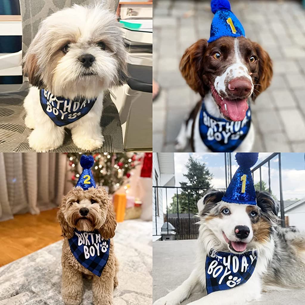 Qpets Dog Gifts Hat for Birthday with 40cm and 60cm Plaid Bandana | Blue Party Set