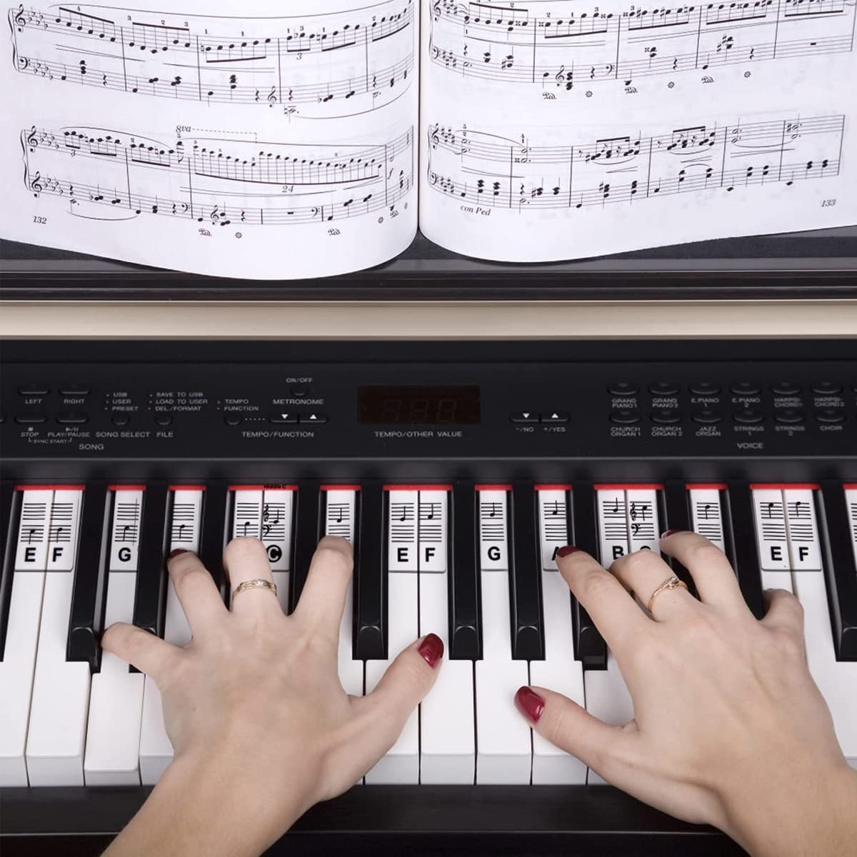 HASTHIP Piano Stickers for 88 Keys with Removable Silicone Design for Beginners Practice | Easy to Place and Remove