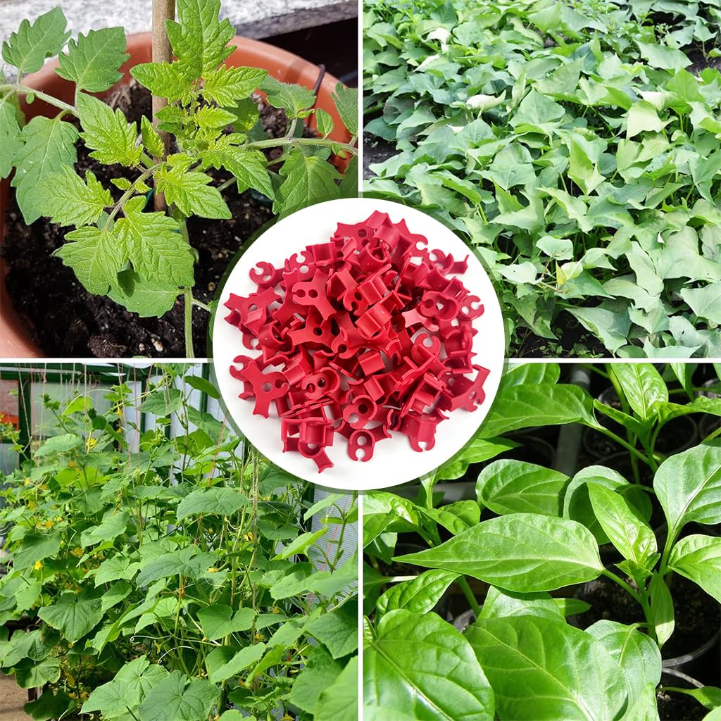 HASTHIP Plant Clip for Branch Control with Dual Slot Bender Design 50pcs Plastic | Adjustable Angle