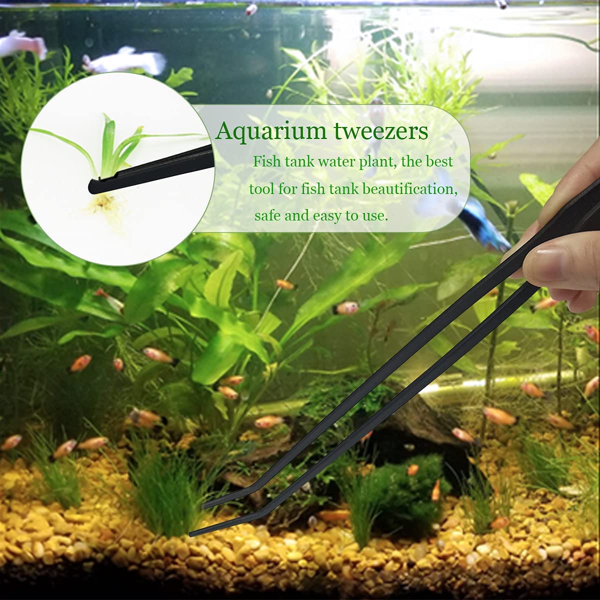 Qpets Aquarium Aquascaping Tools for Fish Tank with Pointed and Curved Tweezers 27cm Stainless Steel Set