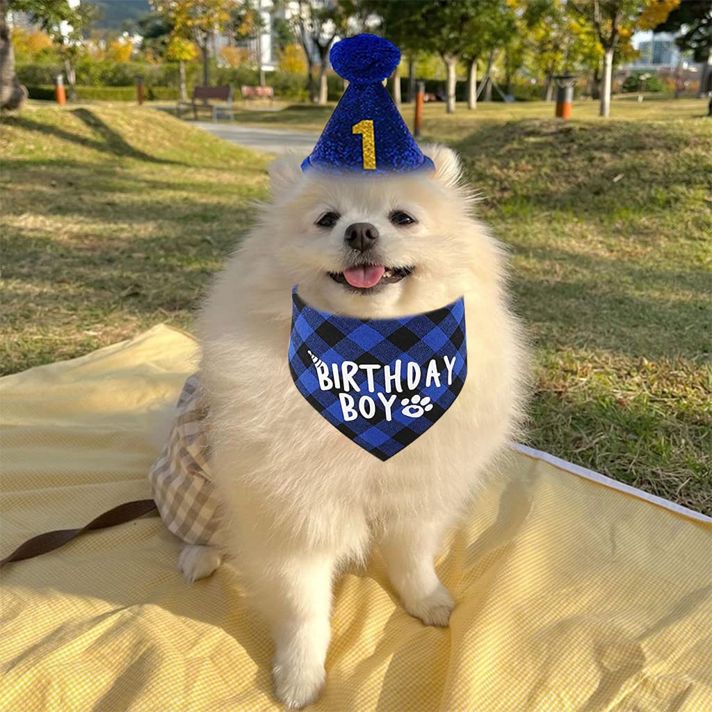 Qpets Dog Gifts Hat for Birthday with 40cm and 60cm Plaid Bandana | Blue Party Set
