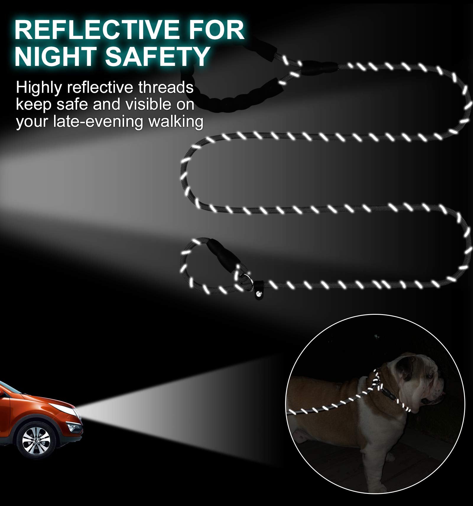 Qpets Dog Leash for Walking and Training featuring Double Lock Buckle 5.58 ft Nylon Rope | Reflective and Padded Handle