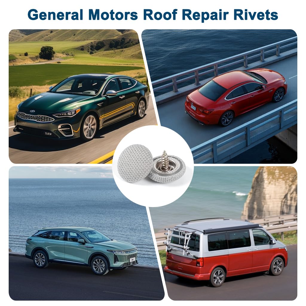 STHIRA Car Roof Headliner Repair Kit for Sagging Ceilings with 262 pcs Rivets and Pushpins | Includes Screwdriver