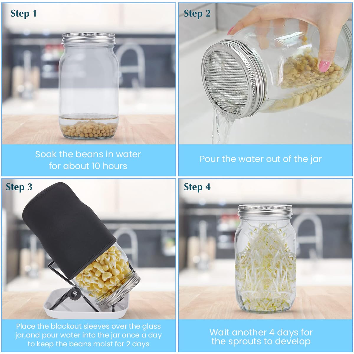 HASTHIP Seed Sprouting Jar for Kitchen Growing with 32oz Glass Jar & Stainless Steel Mesh Lid | Includes Shading Sleeve and Stand