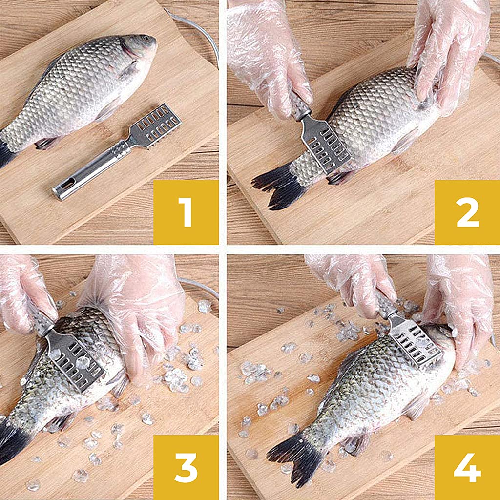 2PCS Fish Scale Shaver for Fast Fish Skin Cleaning with Serrated Blade and Case Lid | Stainless Steel