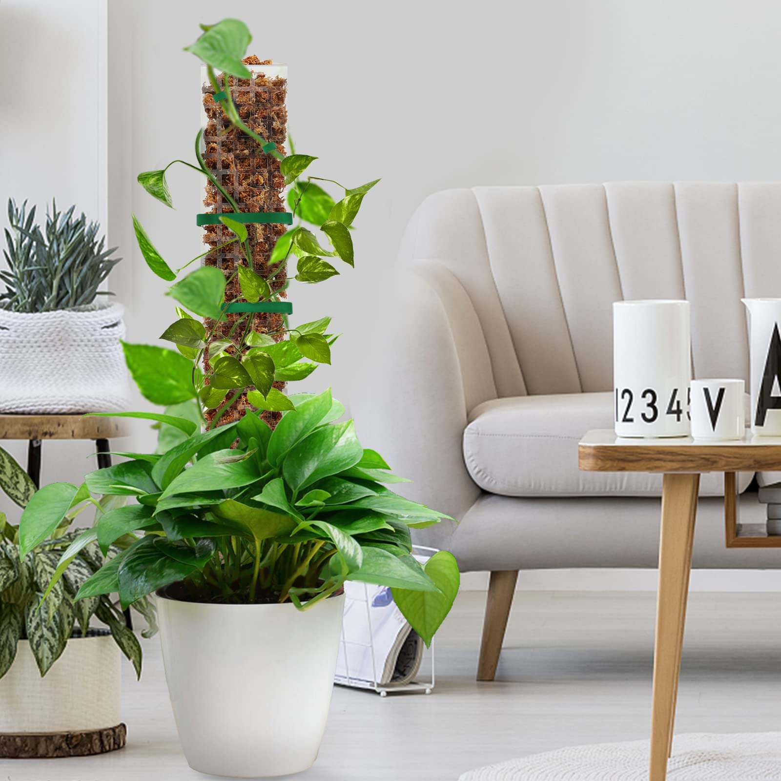 HASTHIP Plastic Moss Pole for Monstera and Pothos 6pcs 23.62in | Hollow Out Upright Growing Support