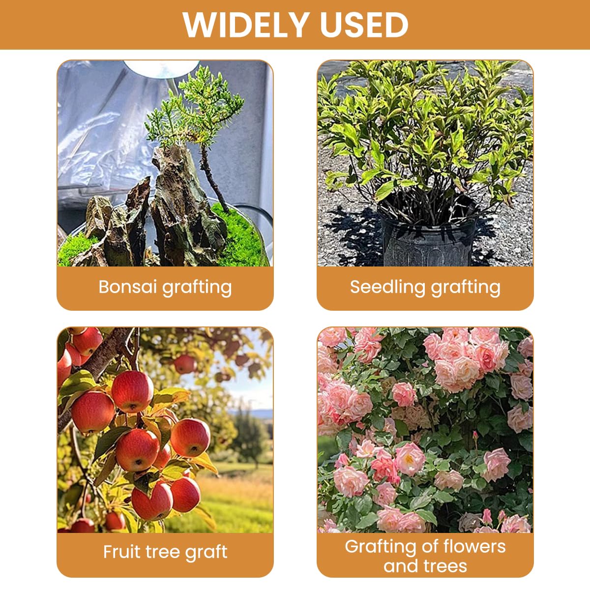 HASTHIP Grafting Cutter Tool 3 in 1 for Gardening with Wooden Handle and Rugged Steel | 2PCS