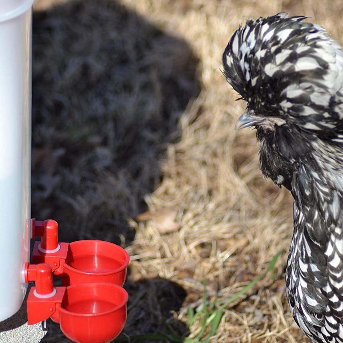 HASTHIP® 6 Pcs Chicken Feeder Cup, Poultry Farm Equipment, Chicken Drinking Cup On Barrel Chicken Feeder and Drinker Auto Refill Water, Chicken Duck Drinker Chicken Water Cup for Poultry