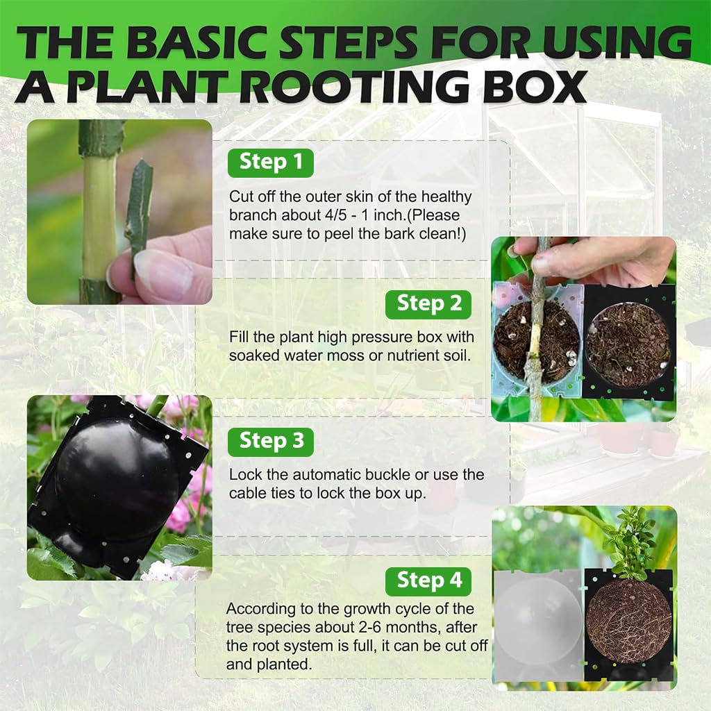 HASTHIP Plant Rooting Ball for Easy Indoor and Outdoor Propagation 12PCS | Reusable Plastic Grow Box