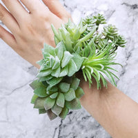 ELEPHANTBOAT® 9Pcs Realistic Mini Green Artificial Succulent Assorted Green Faux Flower Succulent Plants for Indoor, Outdoor, Home Decor