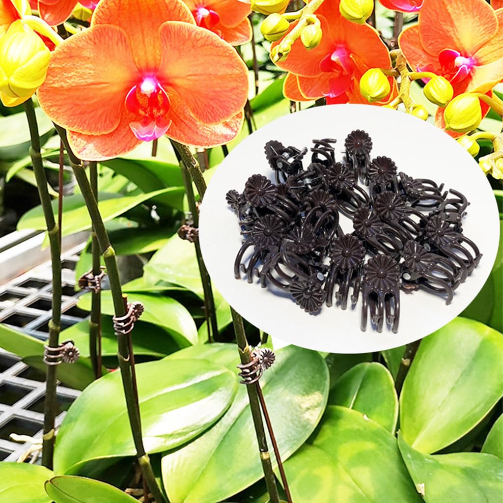 HASTHIP® 100pcs Plant Clips for Climbers, Reusable Plant Support Clips for Orchid Branch Clips Vine Clips, Trellis Clips for Vine, Vegetables, Beans, Fruits, Flower to Grow Upright and Healthier