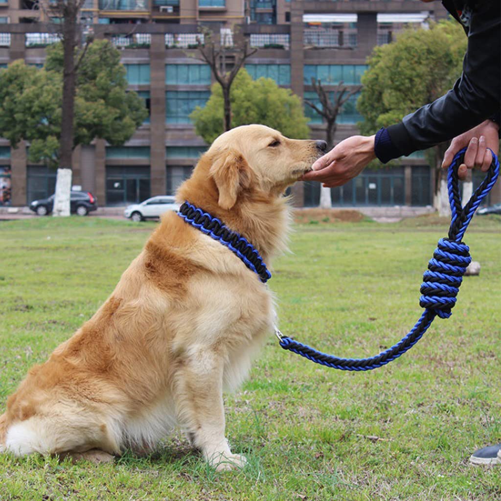 Qpets® 1.3M Dog Chains for Strong Dogs, 8 Strands of Woven Nylon Rope Dog Leash for Large Dogs 360° Swivel Metal Attachment Adjustable Dog Collar Detachable Dog Leash