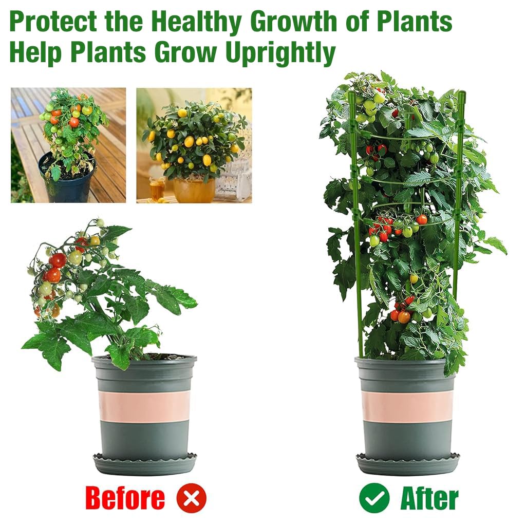Optifit Gardening Plant Support Cages for Climbing Plants with 3 Adjustable Rings 45 cm | Sturdy Steel & Fiberglass Trellis