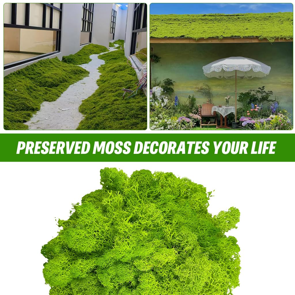 HASTHIP Artificial Moss for Planter Decoration and DIY Crafts featuring 100g Fresh Green Texture | Ideal for Terrariums and Fairy Gardens